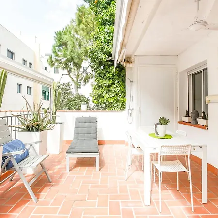 Cuban Green Terrace *