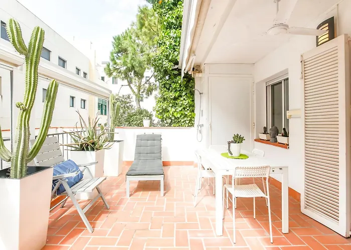 Cuban Terrace *