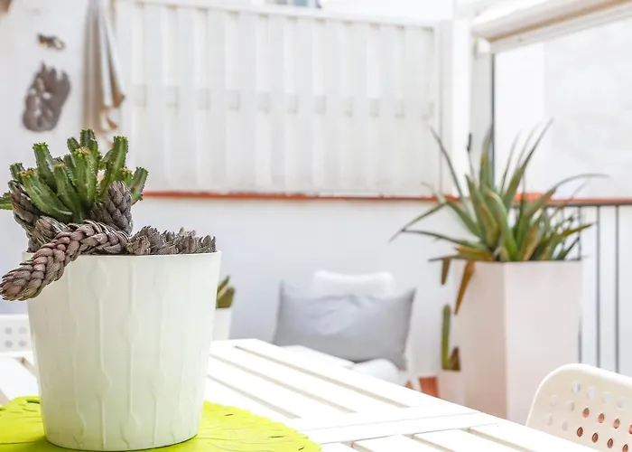 Apartamento Cuban Terrace